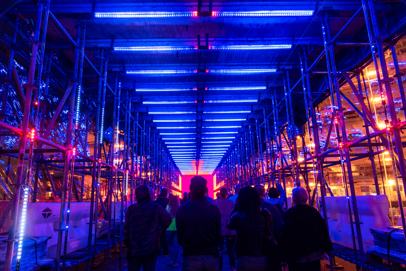 People stand together, looking up, in a tunnel of light